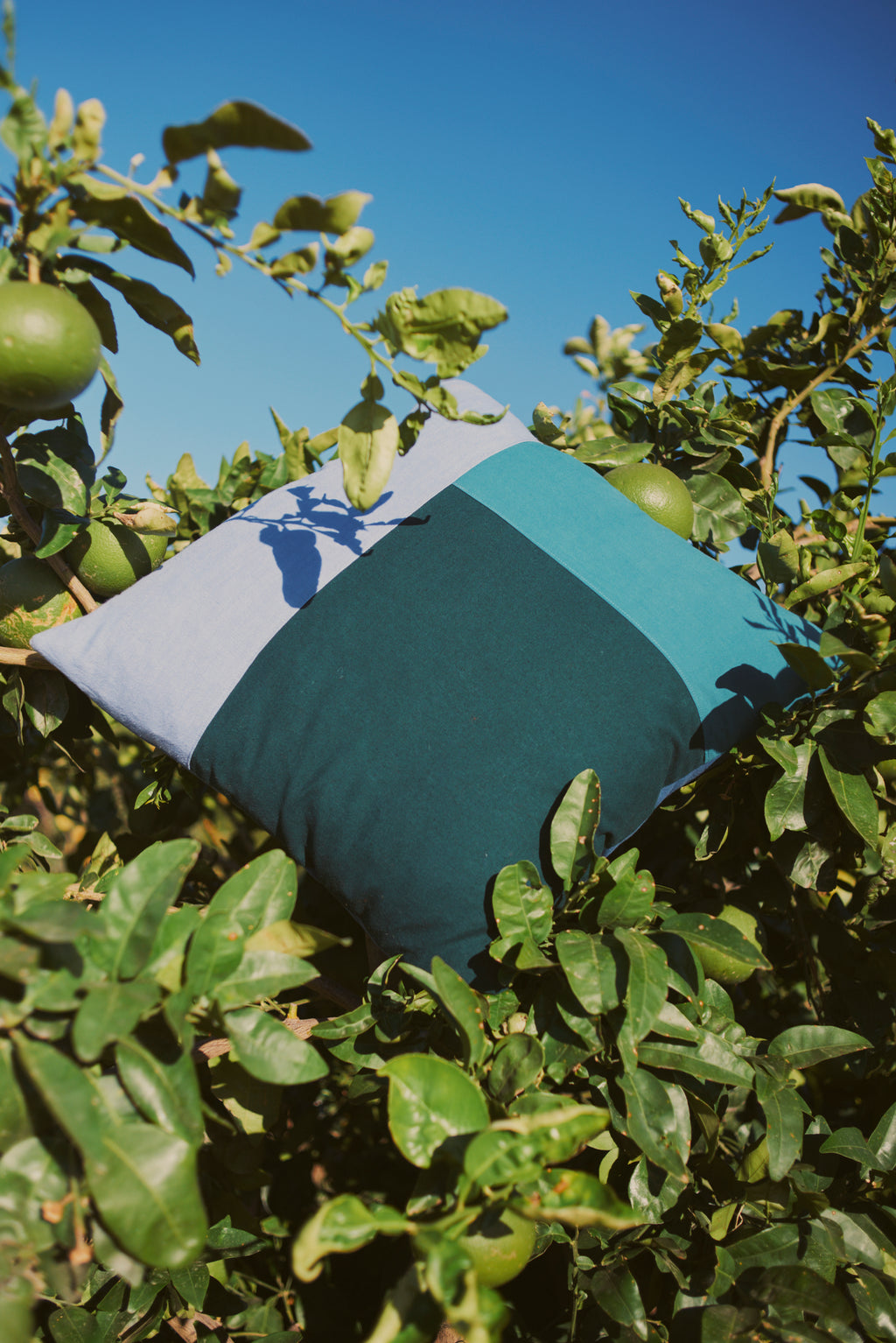 Lappies Scatter Cushion